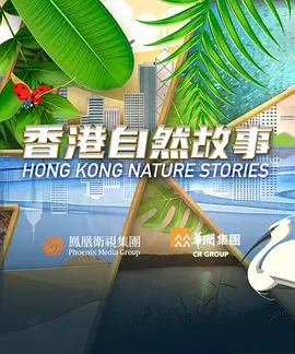 人妻裙子开档丝袜小说